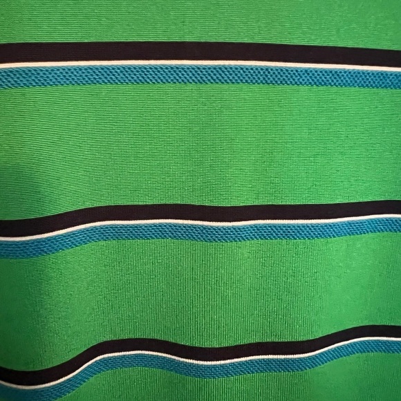 NIKE MENS  GREEN STRIPE STANDARD FIT DRI FIT POLO SHIRT.  SIZE LARGE - Picture 2 of 6